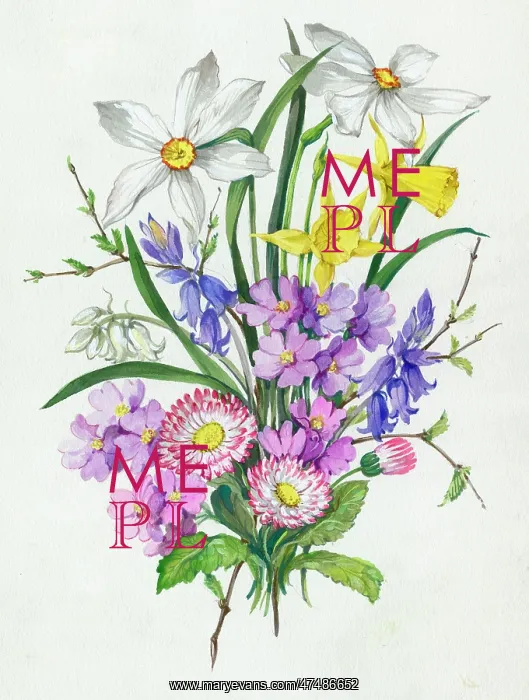  : Bunch of narcissi, bluebells, daisies etc