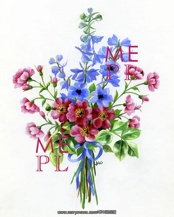: Bunch of Roses and Delphiniums : Bunch of Roses and Delphiniums