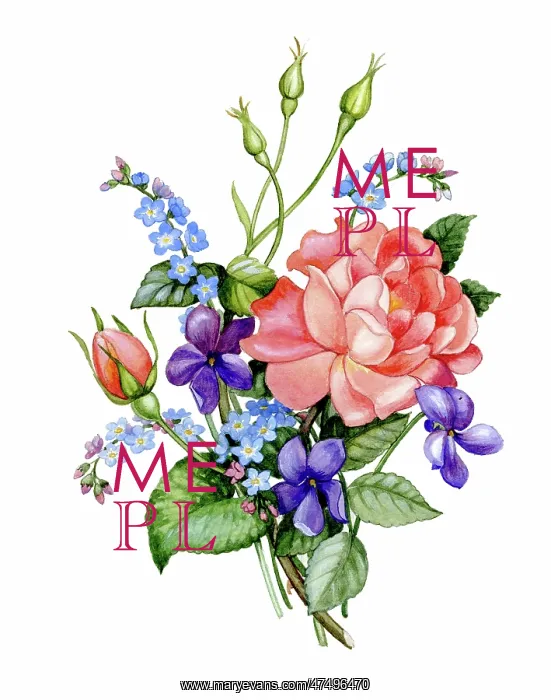 : Bunch of Roses, Forget-me-nots and Violets : Bunch of Roses, Forget-me-nots and Violets