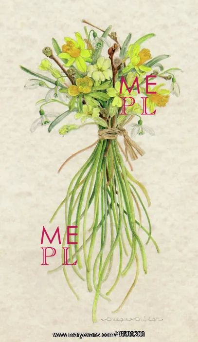 : BUNCH OF SPRING FLOWERS : BUNCH OF SPRING FLOWERS