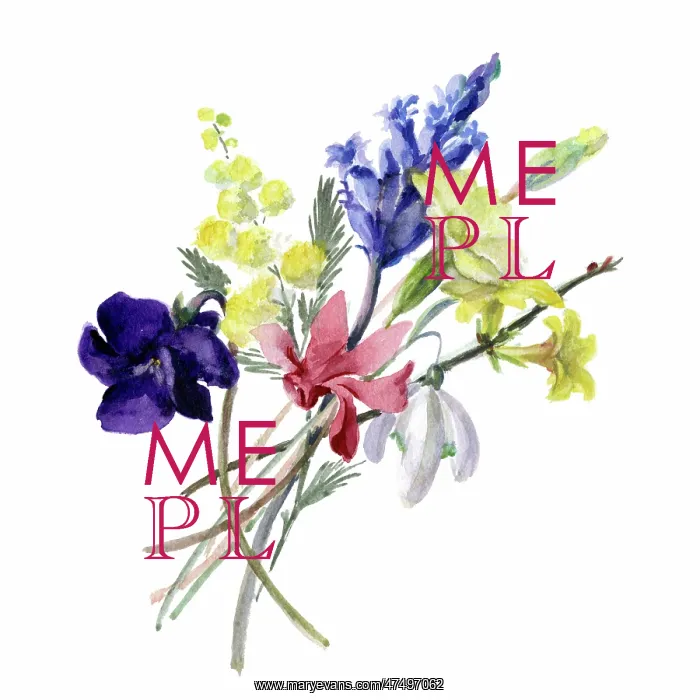 : Bunch of spring flowers : Bunch of spring flowers
