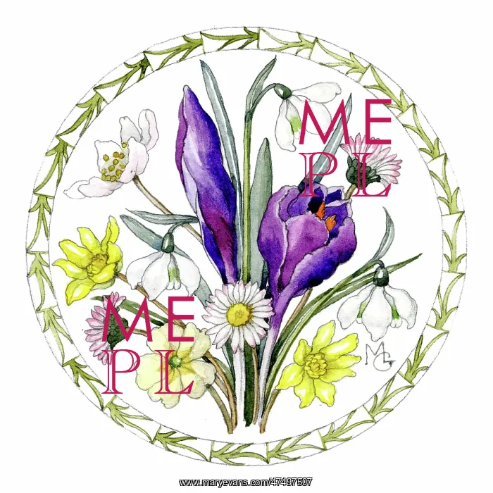 : Bunch of Spring Flowers : Bunch of Spring Flowers