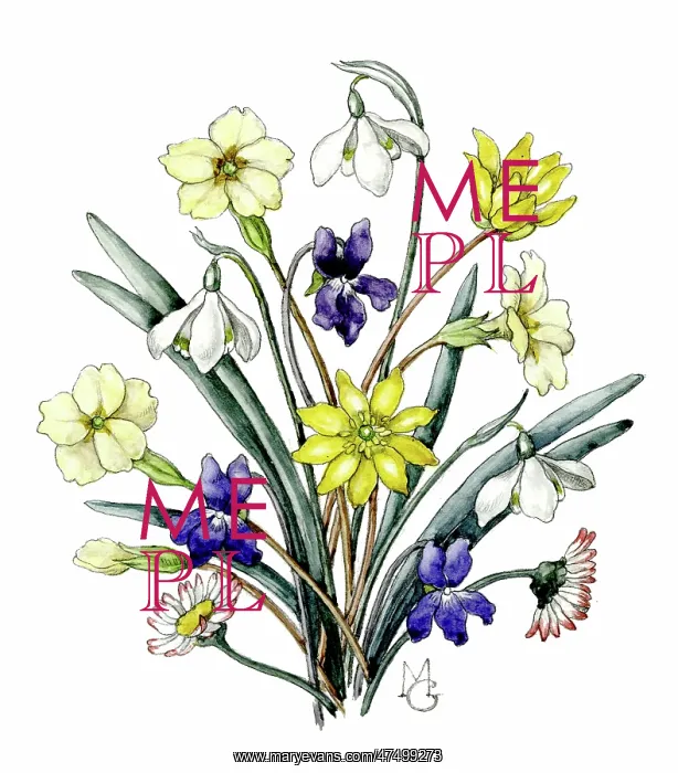 : Bunch of Spring Flowers : Bunch of Spring Flowers