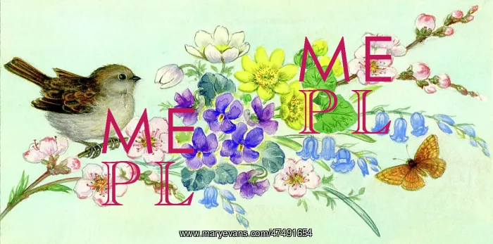 : Bunch of spring flowers with sparrow & butterfly : Bunch of spring flowers with sparrow & butterfly