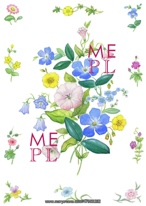 : Bunch of Summer Flowers : Bunch of Summer Flowers