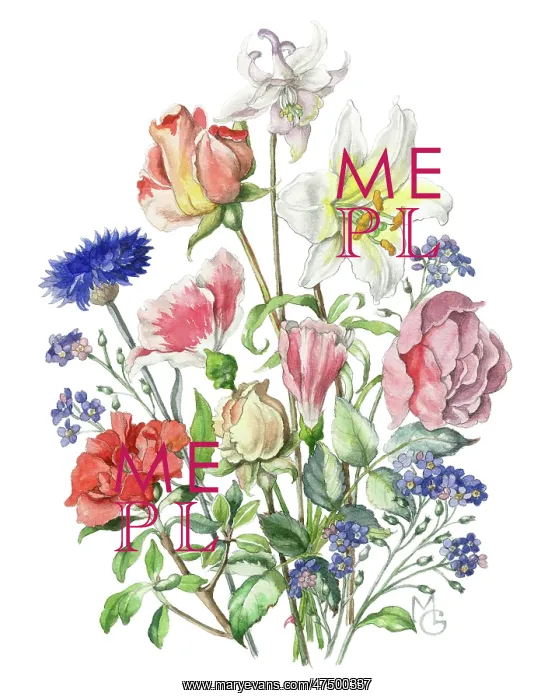 : A bunch of summer flowers : A bunch of summer flowers