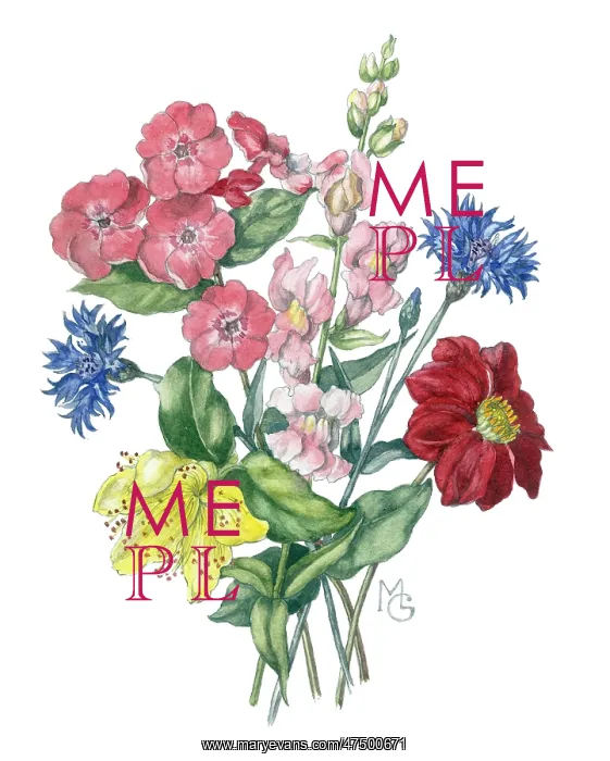 : A Bunch of Summer Flowers : A Bunch of Summer Flowers