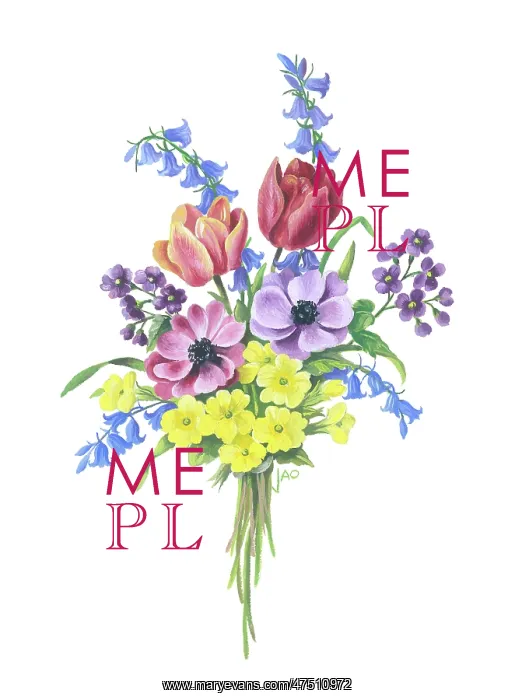 : Bunch of Tulips, Anemones, Bluebells etc : Bunch of Tulips, Anemones, Bluebells etc