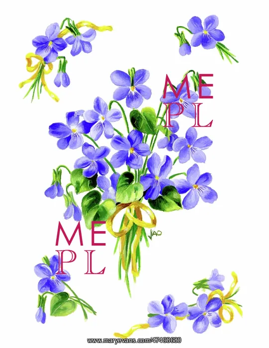: Bunch of Violets : Bunch of Violets