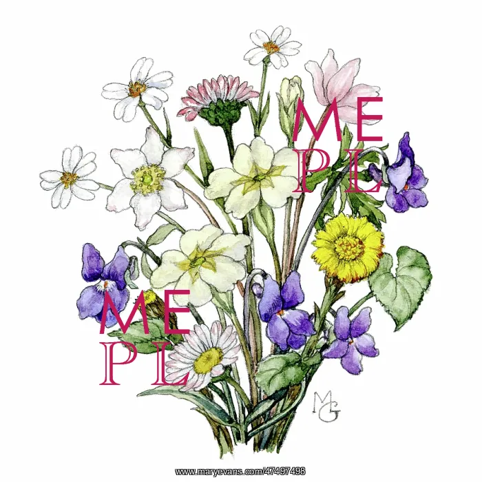 : Bunch of wild flowers : Bunch of wild flowers