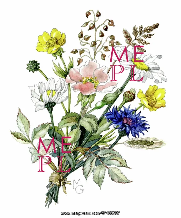 : Bunch of wild flowers : Bunch of wild flowers