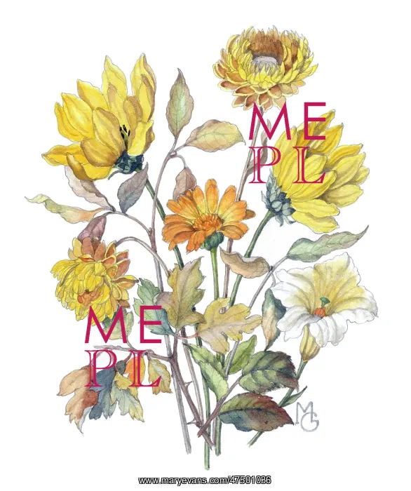 : Bunch of yellow flowers : Bunch of yellow flowers
