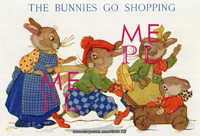 : The Bunnies Go Shopping : The Bunnies Go Shopping