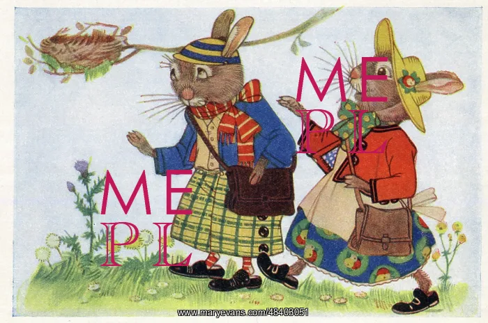  : The Bunnies spot the wrens nest