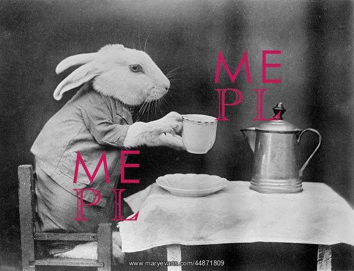  : BUNNY COFFEE BREAK