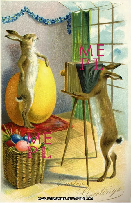  : Bunny Photographing another Bunny