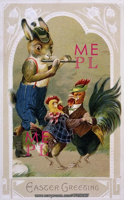 : BUNNY AND POULTRY : BUNNY AND POULTRY