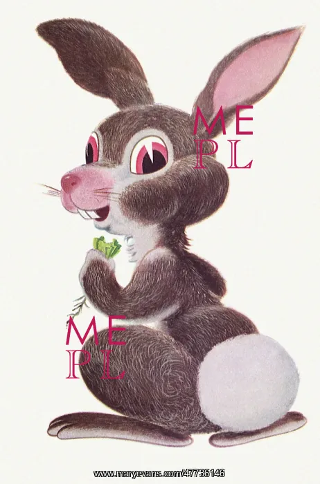  : Bunny Rabbit