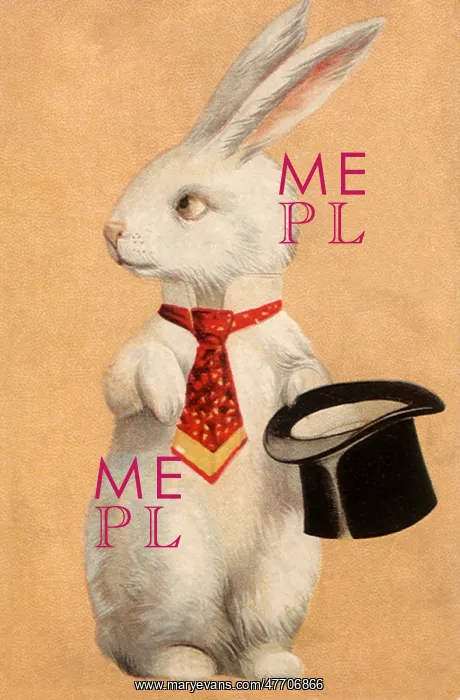  : Bunny in Tie with Top Hat