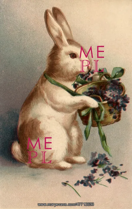  : Bunny with Violets