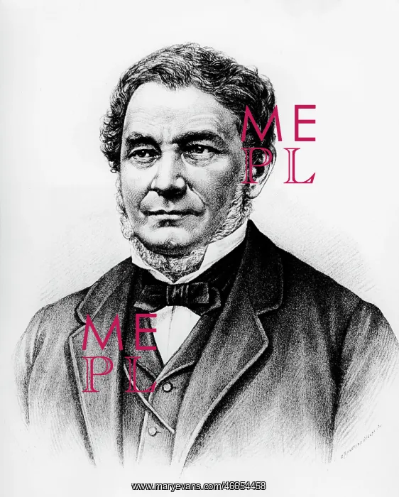 : Bunsen, Robert Wilhelm, 30.3.1811 - 16.8.1899 : Bunsen, Robert Wilhelm, 30.3.1811 - 16.8.1899