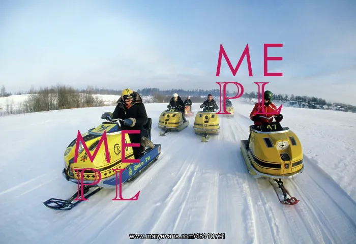 : Buran-type snowmobiles, 1979 : Buran-type snowmobiles, 1979
