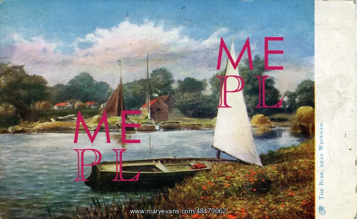 : The Bure, Wroxham, Norfolk : The Bure, Wroxham, Norfolk