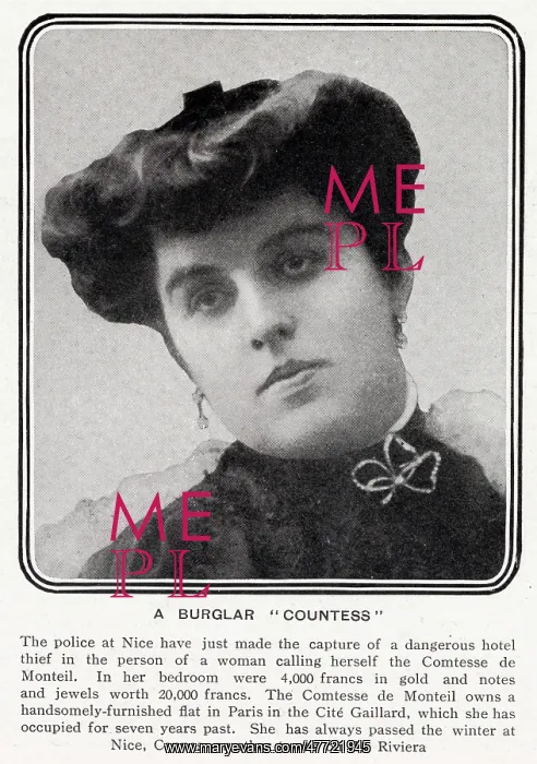 : A burglar countess : A burglar countess