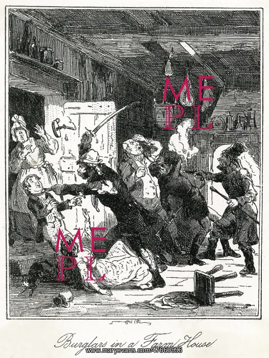  : Burglars in a farmhouse