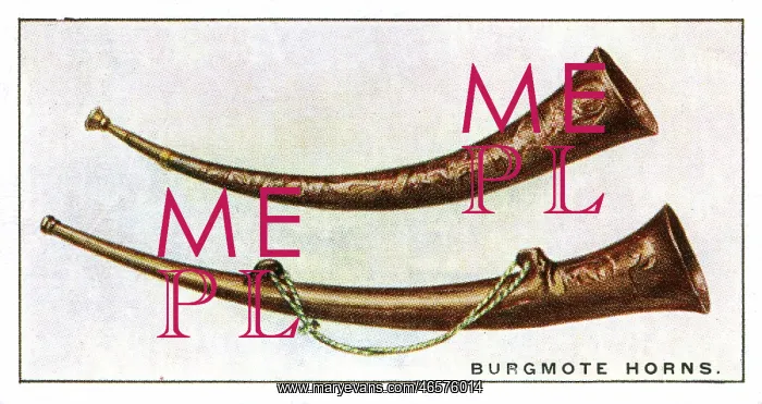 : Burgmote Horns : Burgmote Horns