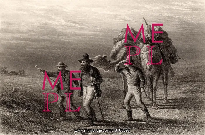 : Burke and Wills Expedition to explore the interior : Burke and Wills Expedition to explore the interior