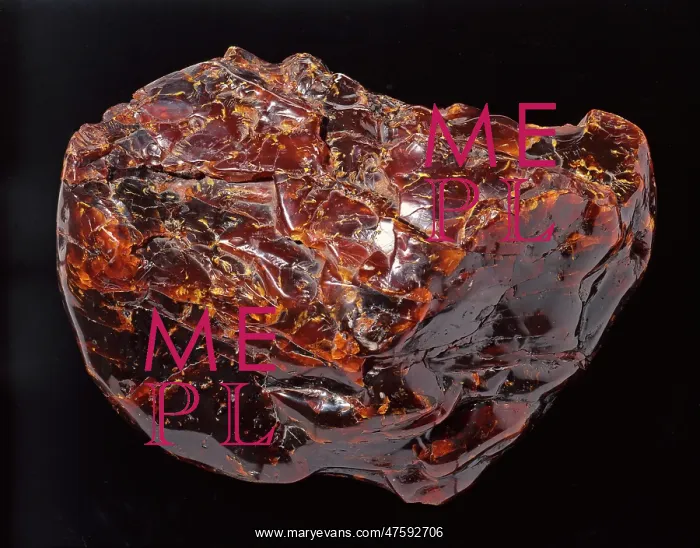 : Burmese amber : Burmese amber