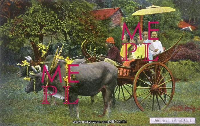  : A Burmese Bullock Carriage