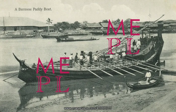 : A Burmese Paddy Boat : A Burmese Paddy Boat
