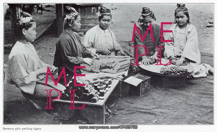 : Burmese Women Making Cigars 1908 : Burmese Women Making Cigars 1908