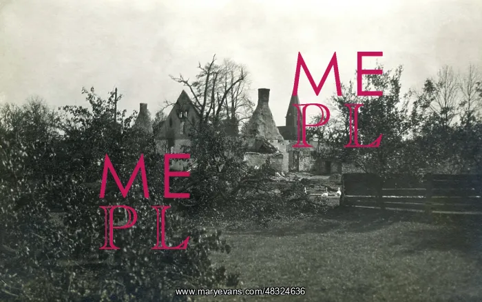 : Burned house in Upper Silesia, 1920 : Burned house in Upper Silesia, 1920
