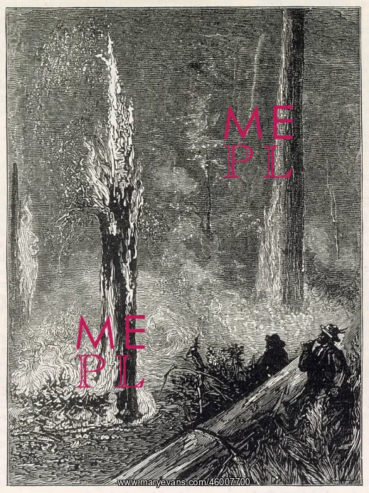 : Burning a clearing in the woods, California 1884 : Burning a clearing in the woods, California 1884