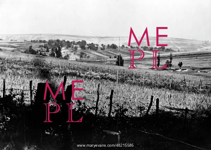 : A burning Eastern Galician village, 1917 : A burning Eastern Galician village, 1917