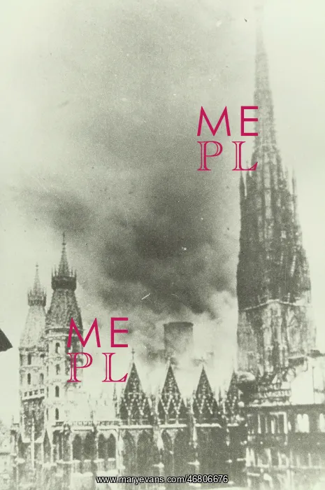 : Burning St. Stephan's cathedral : Burning St. Stephan's cathedral