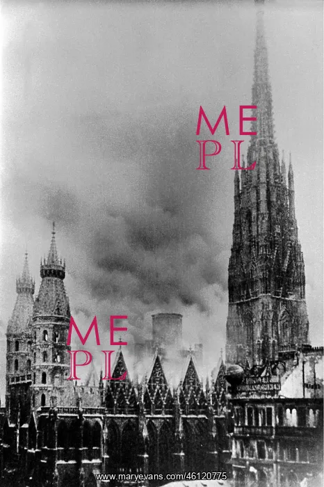 : Burning St. Stephen's Cathedral : Burning St. Stephen's Cathedral