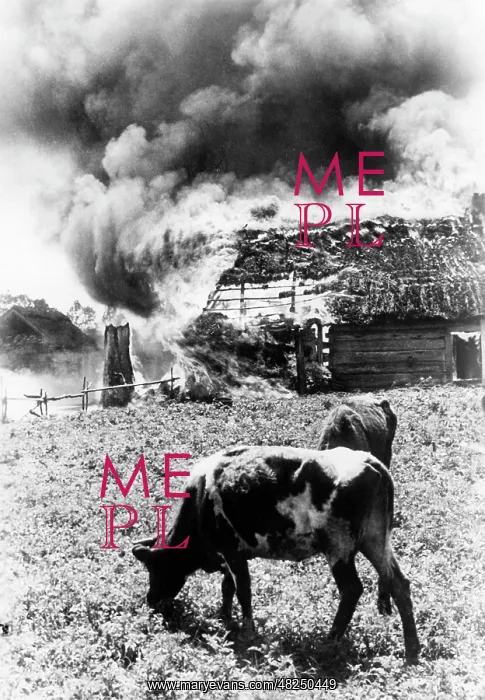 : Burning village on the Eastern Front, 1941 : Burning village on the Eastern Front, 1941