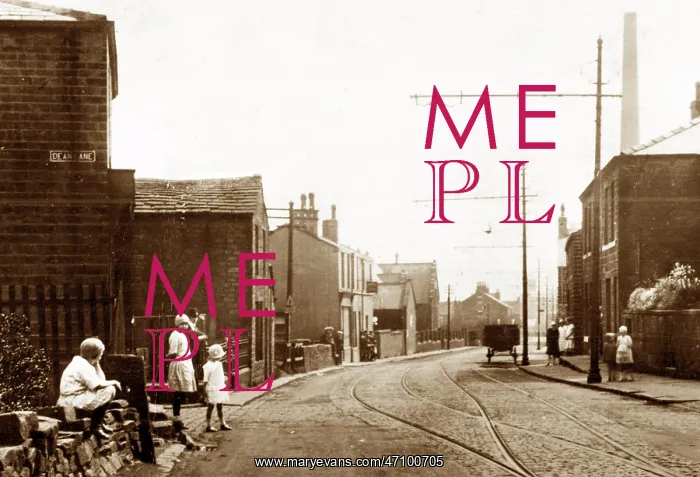  : Burnley Road, Lumb, early 1900s