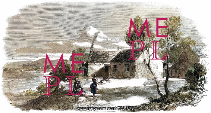  : BURNS FARM ELLISLAND