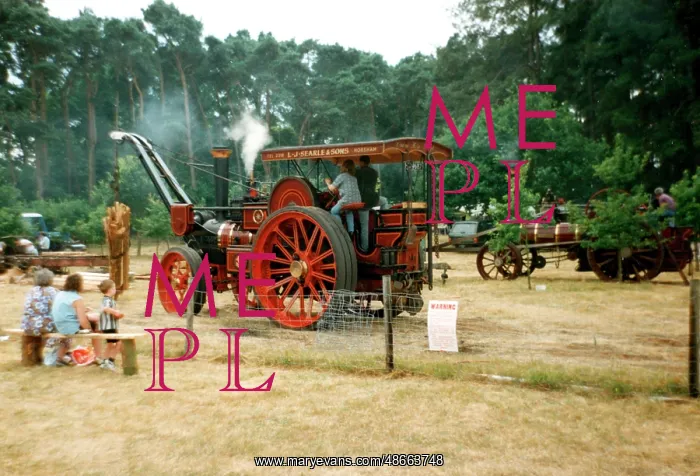 : Burrell Crane Engine number: 3829, His Majesty : Burrell Crane Engine number: 3829, His Majesty