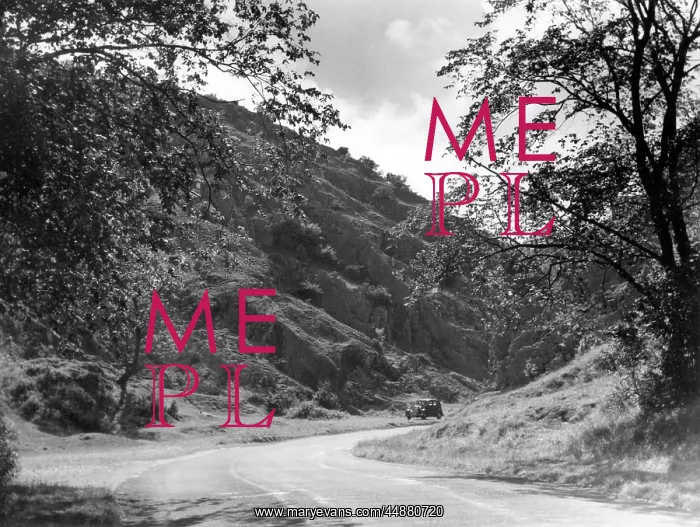 : BURRINGTON COMBE : BURRINGTON COMBE