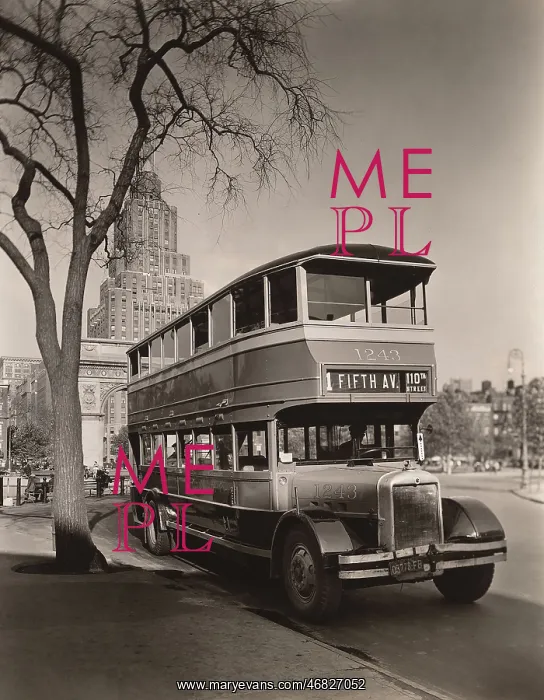 : bus - public transportation - NYC : bus - public transportation - NYC
