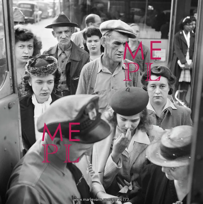 : bus - transportation - Greyhound : bus - transportation - Greyhound