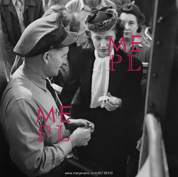 : bus - transportation - Greyhound : bus - transportation - Greyhound