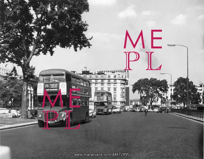 : THREE BUSES AT ONCE! : THREE BUSES AT ONCE!