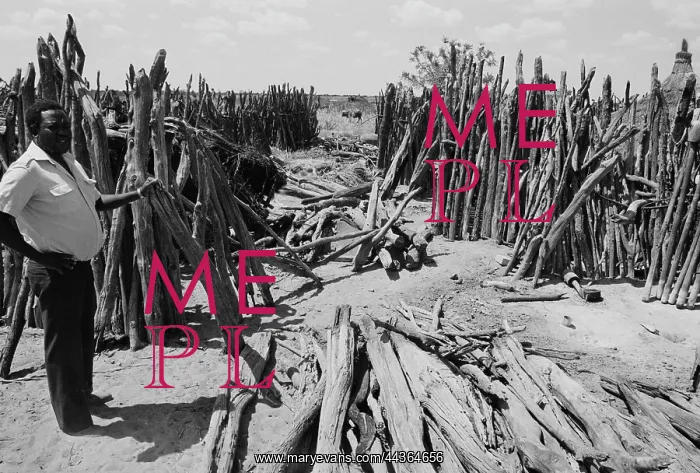 : Bush of Ghosts - Life and War in Namibia 1986-1990 : Bush of Ghosts - Life and War in Namibia 1986-1990